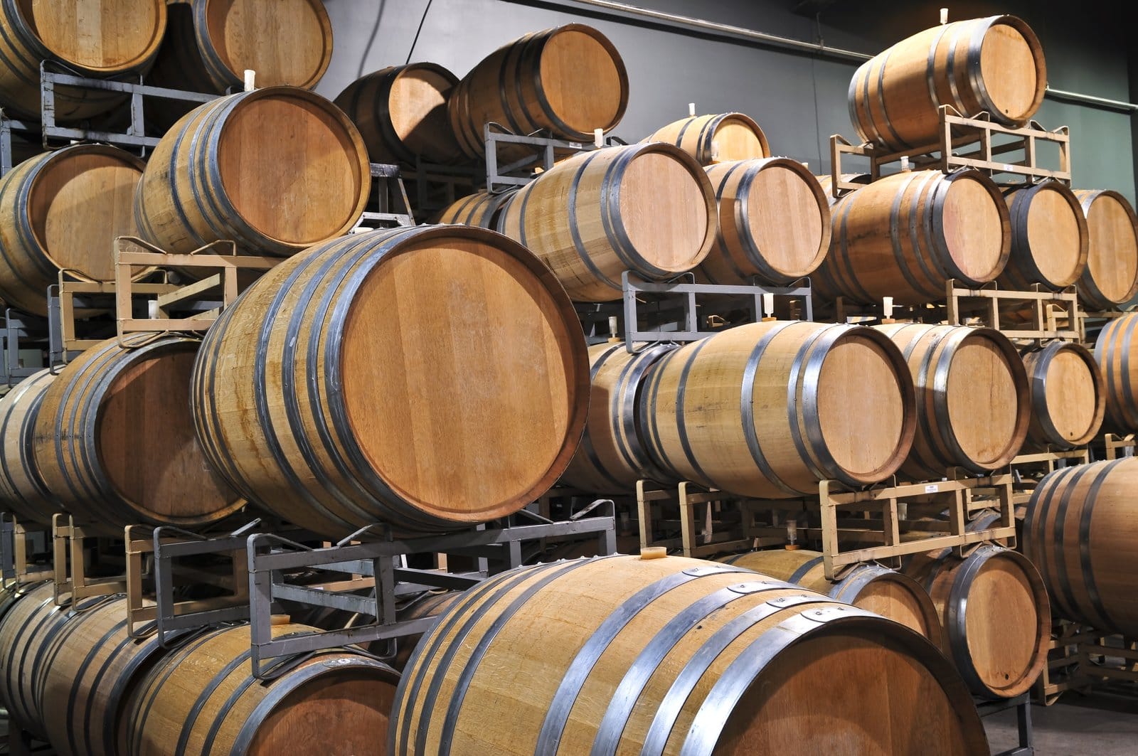 Winery Tour